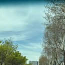 지에스25 두류음악당점 | 대구 두류공원 피크닉 벚꽃 막차🌸 | 부리또 맛집 | 버터떡 카페