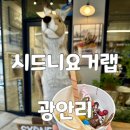 요거당 | 광안리 디저트 맛집 시드니요거랩 커스터마이징 요거트아이스크림 상세후기