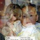 일조산업