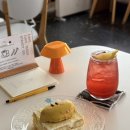 중앙로79번길 | 대전 중앙로 테디스테디고 고양이 3마리가 있는 카페