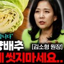 양배추 간단하게 세척해도된다 이미지