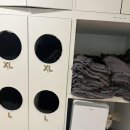 오라스테이 | 제주 헬스 헬스장 맛집 "스테이짐 오라점"에 헬스 유목민 정착한 후기
