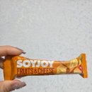 2816 | 요즘 내가 매일 챙겨 먹는 건강간식, 소이조이 리얼후기