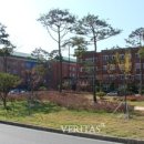 실용 생활 일본어(수시접수) 이미지