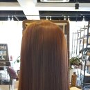 스펠라 헤어 메디컬 이미지
