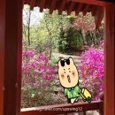 정자중앙길 이미지