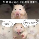 송도나들이(노을 기갈최고 카페/핏제리아송도 솔직후기/생일네일아트)