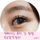 고은온누리약국 | Style Beauty . 여자들의 시크릿 뷰티 속눈썹 연장. 신림 속눈썹연장 잘하는곳 네일온 연장후기!!