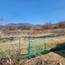 장호원검도관 이미지