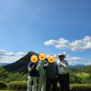 강촌강변 | 엘리시안 강촌CC에서 라베 갱신했네요(feat. 가짜싱글)