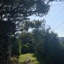 스테이 룰루랄라 이미지