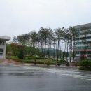 장구봉등산로 더 한국타임즈