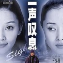 일성정 Daum카페