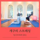 ACE GYM | 임산부에게 정말 좋은 개구리 스트레칭(비전동PT)