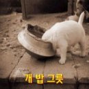 마태복음 4장 17절 이미지