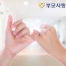 부모사랑