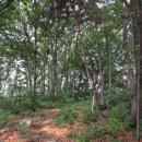 금동주유소 이미지