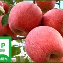 550002 Daum카페