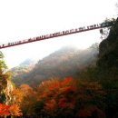 제196차 봉화 청량산 산행 예약방 (2017.11.7) 이미지