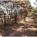 보은약수터 이미지