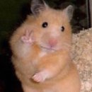 인터스페이스 | W-3 본식 스냅&amp;DVD 계약 후기(스페이스 플로라)