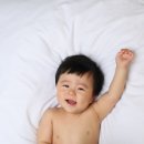 핑크빅 이미지