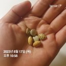 안목과 실행력을 만드는 체력