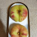 청송복숭아농장