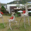 목향 한정식 이미지