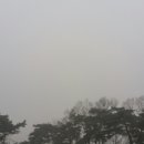 새벽아침농장 이미지