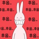 유자네 댕댕이 이미지