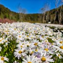 대금목장 이미지