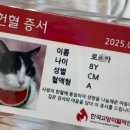 한국동물혈액은행 동물병원 이미지