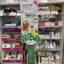 가톨릭약국 이미지