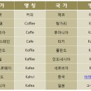 커피610