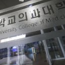 수업 거부하는 의대생들 “국가장학금은 주세요”… 3200명 신청 이미지