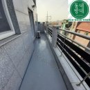 H0295 이미지
