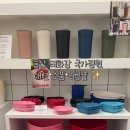 아쿠네 AKUNE