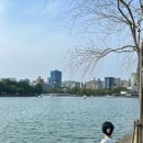 퍼피펍피 이미지