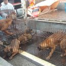 창뜰농장 이미지