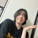 Cats Life 이미지