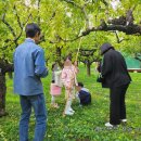 천서농장 이미지