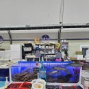 서천특화시장 | 재원수산 : 서천특화시장 특대방어 분할 판매하는 곳