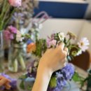 컨포지움 이미지