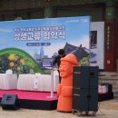 감귤향기 이미지