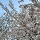 태장로795번길-L 네이버블로그