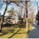 도계광장교차로 이미지