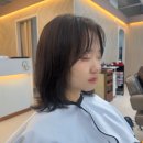 도안남로 이미지