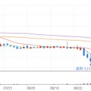 네이처코드 이미지