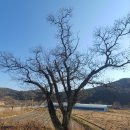 경기둘레길 가평21코스 이미지